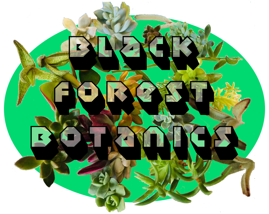 Black Forest Botanics logo